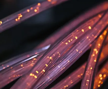 Insights | Digital connectivity has become one of the most crucial pieces of national infrastructure. Edward Fletcher reports on progress. : Fibre