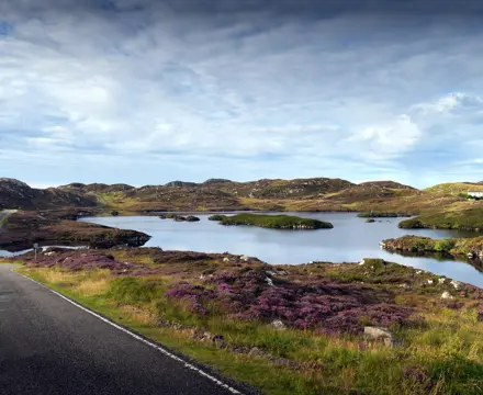 Natural capital update: Natural Environment (Scotland) Bill: Natural Capital | Natural Environment Bill