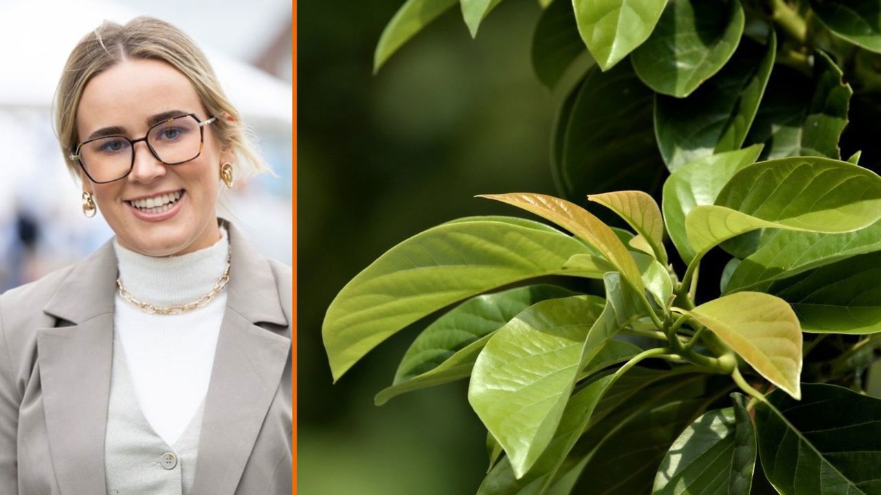 Rose Nash | Natural Capital Update | Galbraith