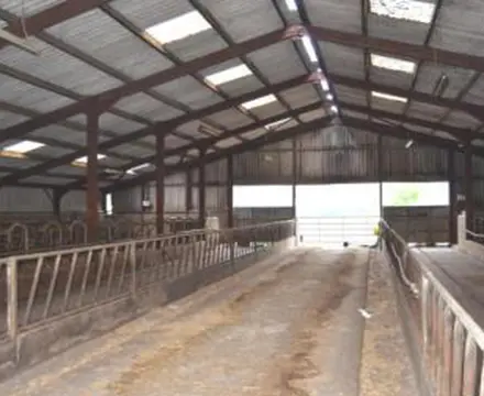 Exceptional Livestock And Arable Farm For Sale On The West Coast Of Scotland: Auchafour 2 808X455