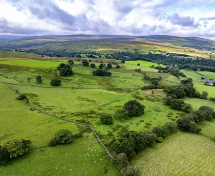 Tenders invited for superb 15-year farm business tenancy : Moss House Farm 1