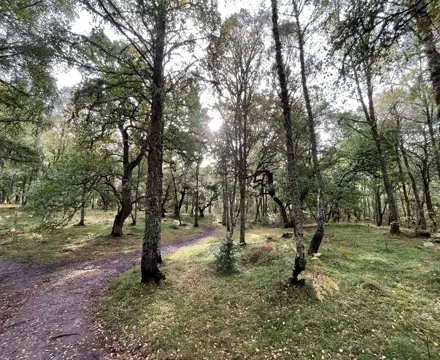 Natural capital update: don’t miss the Scottish Biodiversity Metric opportunity: IMG 20231013 WA0014 (1)