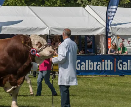 Fife Show 2022: 1558086329 Fife Show 2018 21 808X455