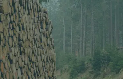 Forestry Service Banner