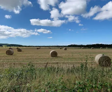 Galbraith Surveyor appointed Vice Chair of NFU South Ayrshire branch: NFU Ayrshire | Galbraith | Alice Wilson