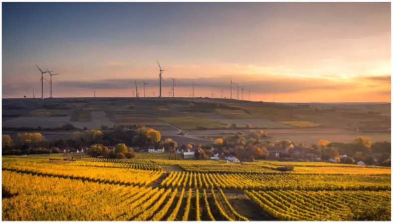 (test) Article headline image