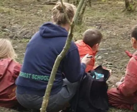 If you go down to the woods today…: 1574779172 Image1 808X455