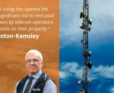 Insights | Rural telecommunication rents increase due to key legal ruling: Borders (8)