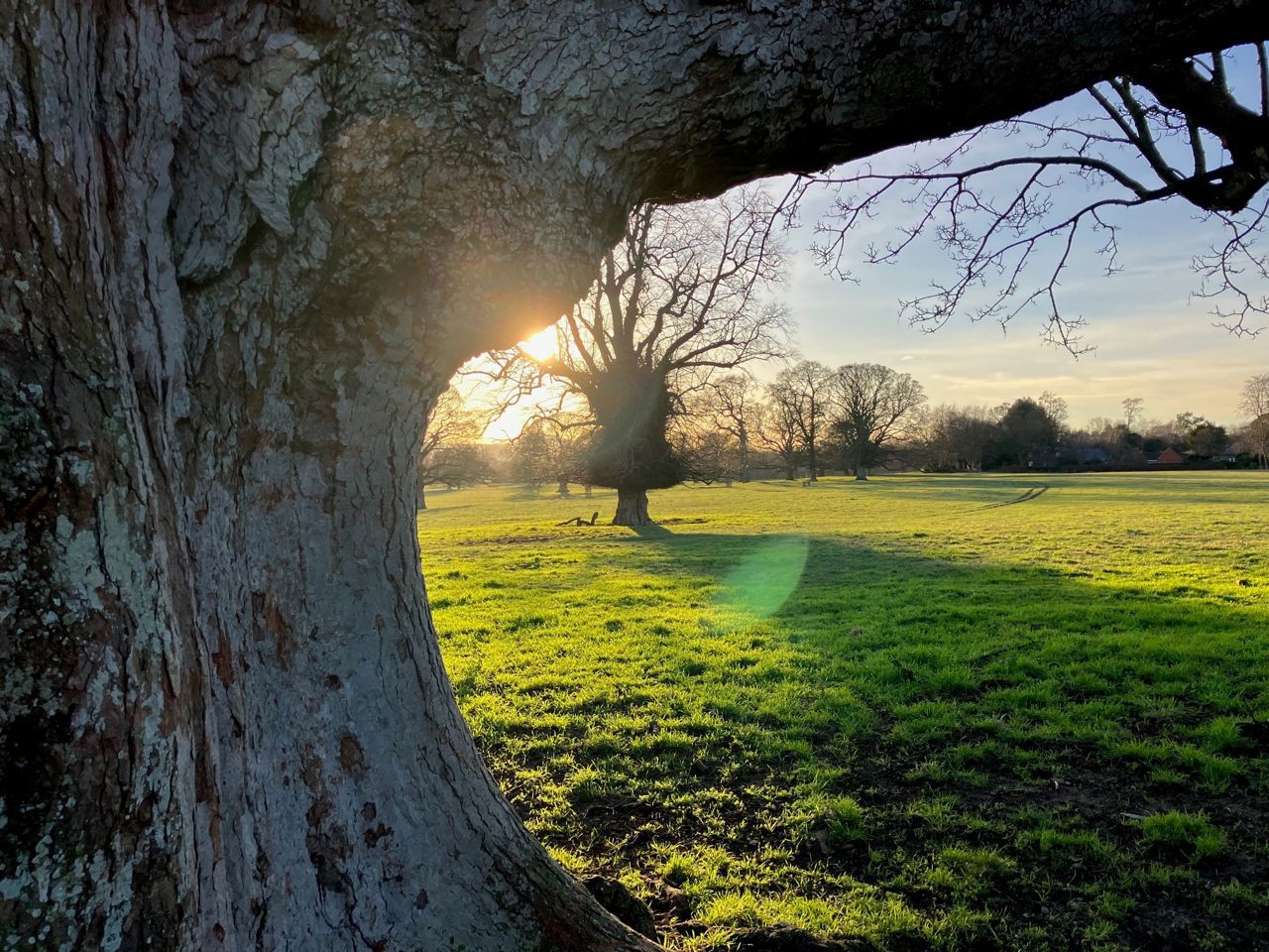 Natural Capital Update | Funding