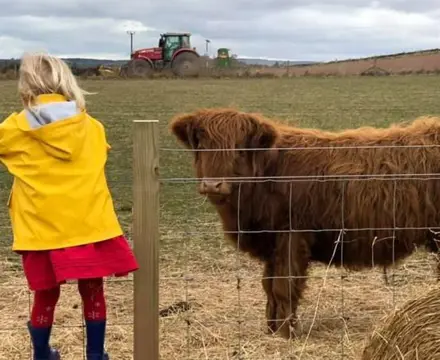 The Good Life – Increased demand for the rural idyll: 1588262218 Rural Life 808X455