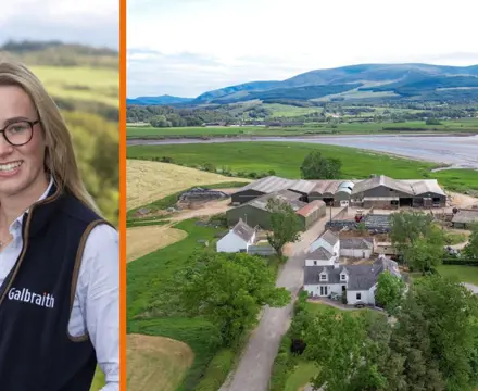 Diverse farm and land with beautiful views: Rose Nash | Carsenestock Farm