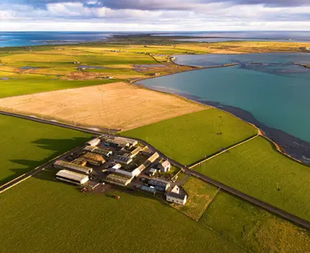 Two Orkney farms for sale with superb potential : How Farm | Orkney | Property News