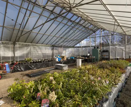 Sunnyside Up - Superb Opportunity To Run Established Garden Centre And Build Your Own House: Sunnyside Cottage Garden Centre 4