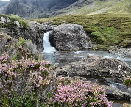 Natural capital update: Positive projects advance as land managers see environmental opportunities : Natural Capital update | Rose Nash