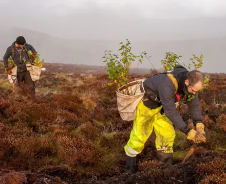 Going wild on a highland estate: 1563444878 2. Planters At Bamff 808X455