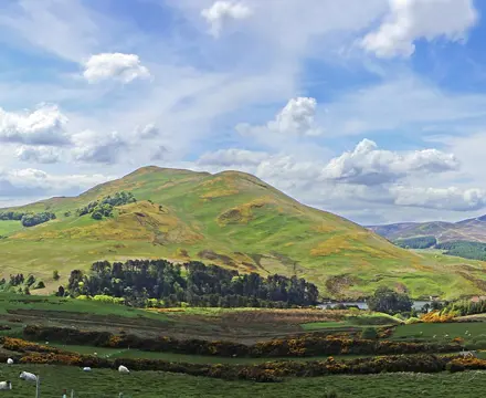 Cultivating Connections: From Young Farmers to Rural Surveying with Galbraith.: Cultivating Connections From Young Farmers