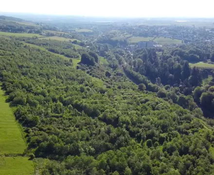 Attractive Area Of Amenity Woodland Goes On Sale Near Glasgow: Woodland At Foreside Image 1