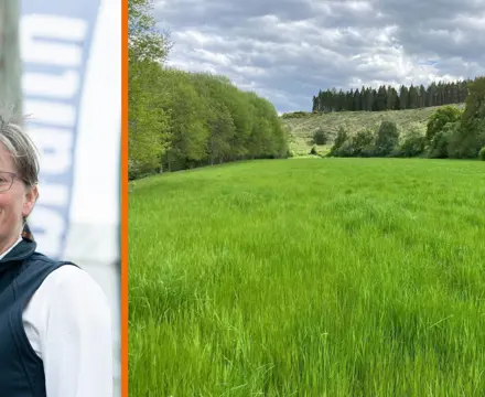 Natural capital update: Galbraith team contributes to key report on Scotland’s ‘nature economy’ future: Borders (3) (4)