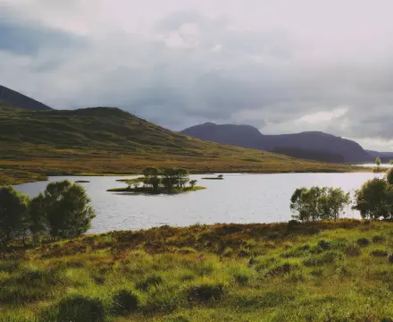 Land Reform (Scotland) Bill 2025: Land Reform Bill 2025 (Scotland)