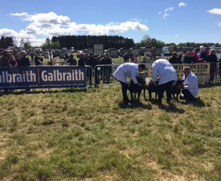 Ayr Show 2022: Ayr Show