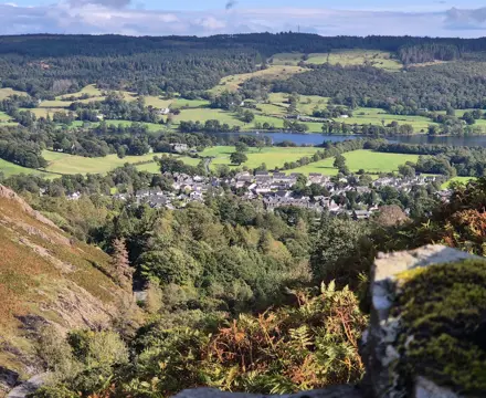 The state of the natural capital market: 20240915 155153 (1)