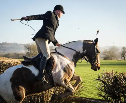 Belsay Horse Trials: Phil Hodkinson Horsejumping