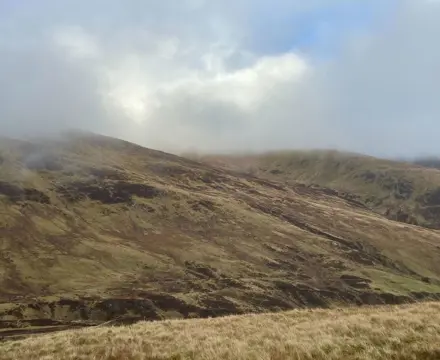 Energy Update: Development proposals for sensitive areas must address peatland : Peat Management