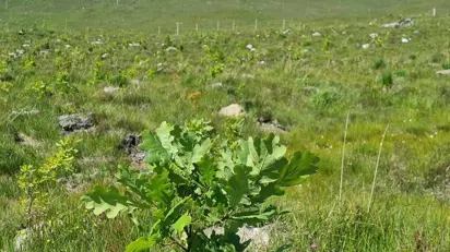 20210701 121132 808X455