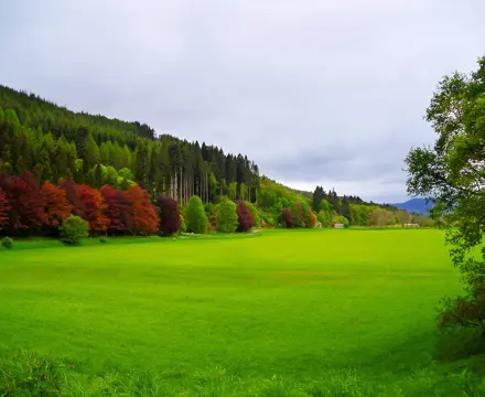 Nature – Ready Steady Go!: Farm Field Dunkeld Scotland 2691025 1280