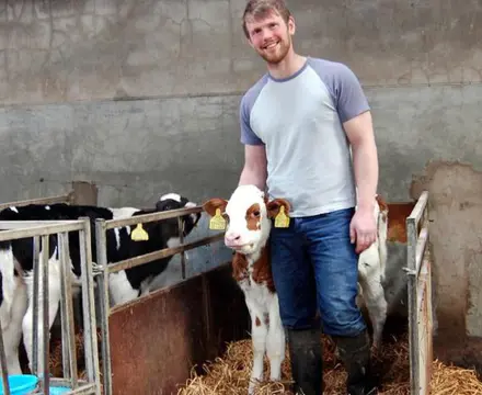 Burns Night Special: An Ayrshire Lad: Bryce With A Young Calf 808X455 (1)