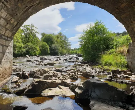 Natural capital update: Check For Leaks: Check For Leaks (1)