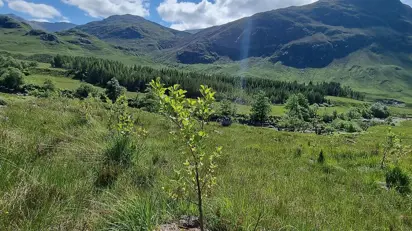 20210701 121037 808X455