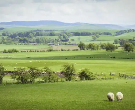 Living with land reform: Living with land reform 5