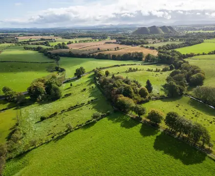 Attractive amenity farm in West Lothian for sale: Gardener's Hall & Grove Mount 5