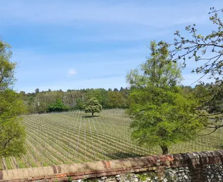 Natural capital update: Emerging farm policy in England makes baseline assessment a big priority: 1651667826 20220430 Henley2 808X455