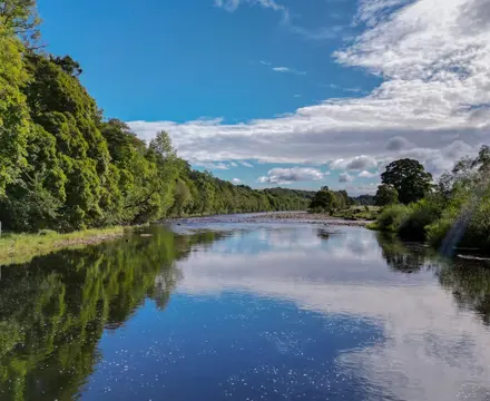 Superb salmon fishing with cottage on the South Tyne: Hex240092 10