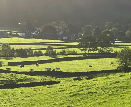 Natural Capital update: Grants must support a business case: TWA