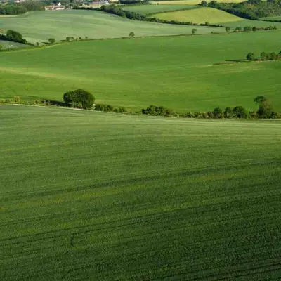 Farms and Estates Property Banner