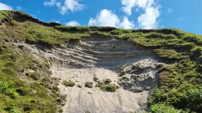 20210701 152025 808X455