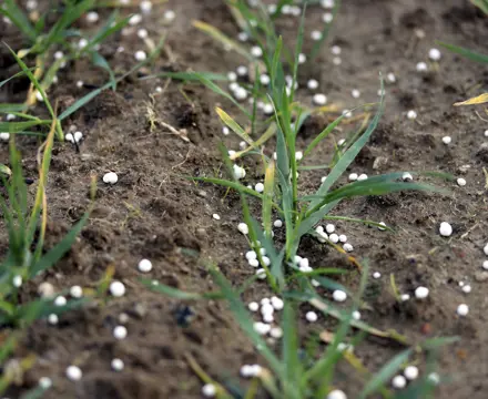 Natural capital update: Impact of fertiliser prices encourages regenerative farming: Fertiliser