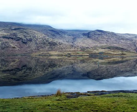 Natural capital update: Is Wildlife Estates Scotland accreditation worth it? Here's what we’ve learned: Wildlife estates