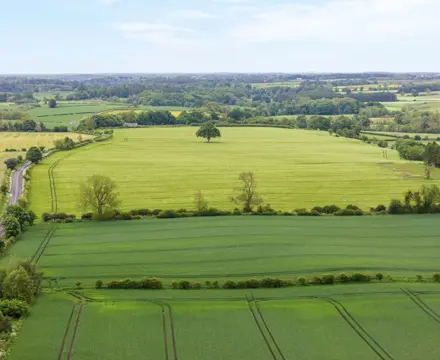 Productive arable land for sale in Northumberland : Land At Newton Red House | Galbraith