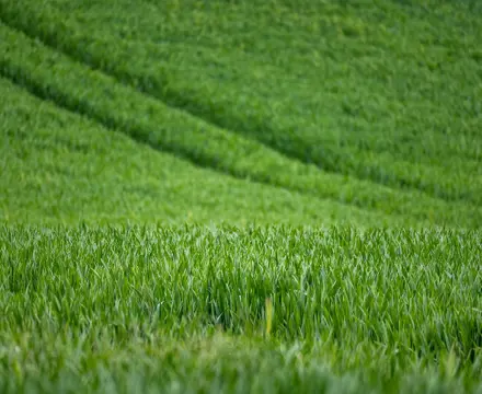Next attack on family farms may be worse than the last – warning from Galbraith: Scottish Farm