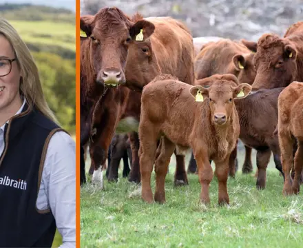 Galbraith welcomes sustainability focus at Scottish Beef event 2023: Borders (9)