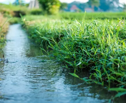 Natural capital update: Drought, climate change and modern farming: Natural G71e0397c8 1920