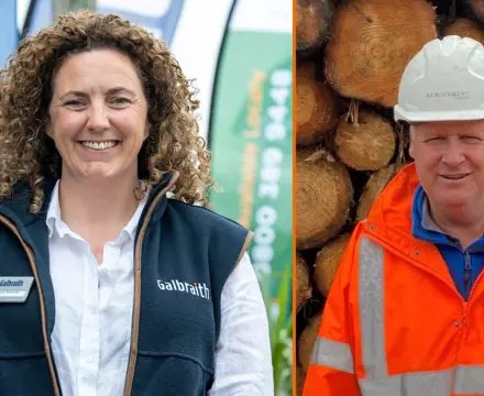 Natural capital update: timber price rises herald uncertain times for forestry sector: Map (1)