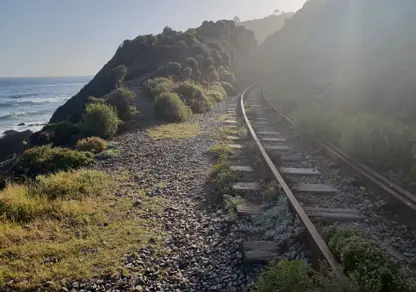 Natural capital and the art of patience